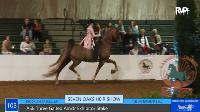 GASP21 - Class 103 - ASB Three Gaited...