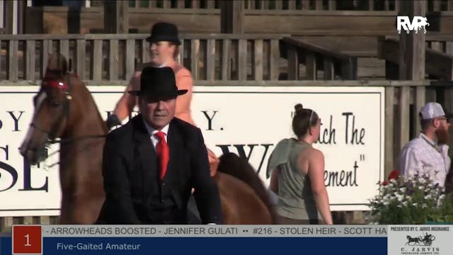 SHS22 - Class 1 -  Five Gaited Amateur