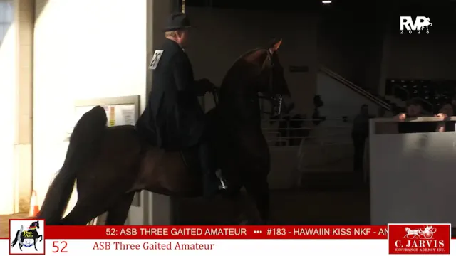ProAm26 - Class 52 - ASB Three Gaited...