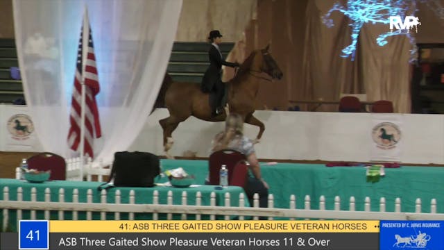 GASP21 - Class 41 - ASB Three Gaited ...