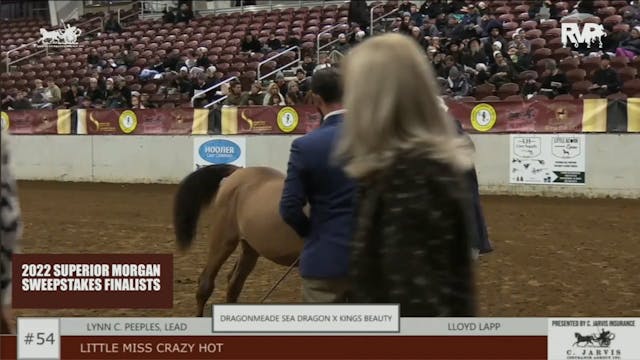 Superior Morgan Sweepstakes Finals