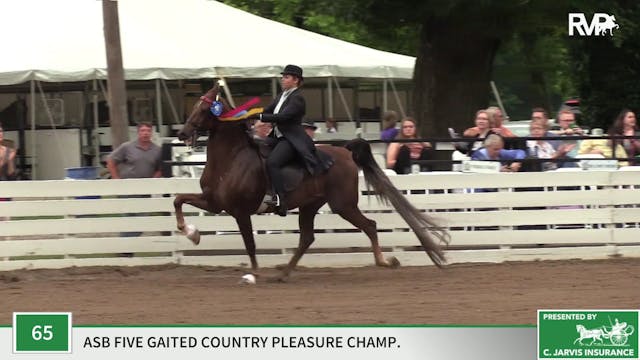 RC19 - Class 65 - Undulata's Cheekie Nut