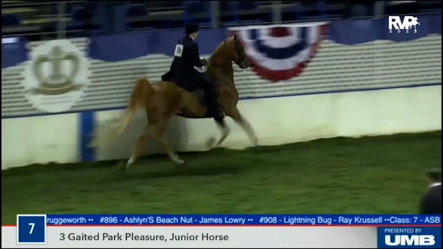 2025 American Royal - Monday Morning