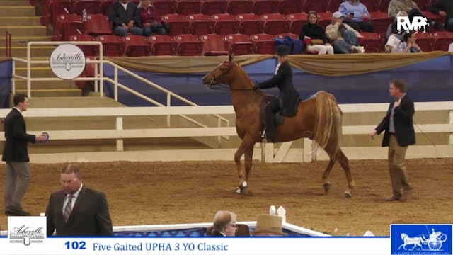 ASC24 - Class 102 - Five Gaited UPHA ...