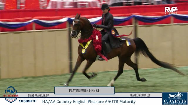 AN25 - Class 1038 - Playing with Fire...