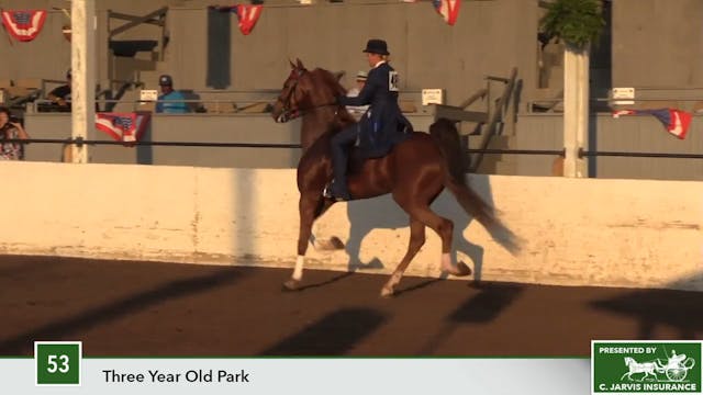 MCF17 - Class 53 - Nutcracker's Derby...