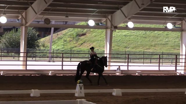 MGN19 - Class 616 Western Dressage Le...