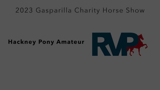 GASP23 - Class 58 - Hackney Pony Amateur