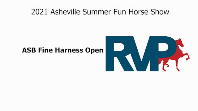 ASF21 - Class 2 - ASB Fine Harness Open