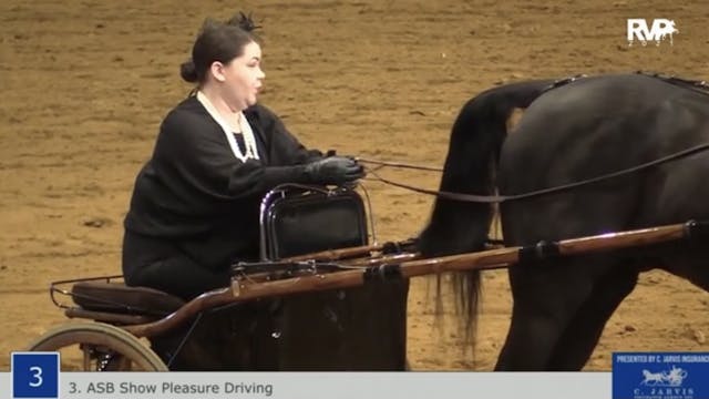 BB21 - Class 3 - ASB Show Pleasure Dr...