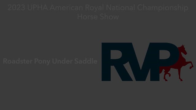 AR23 - Class 96 - Roadster Pony Under...