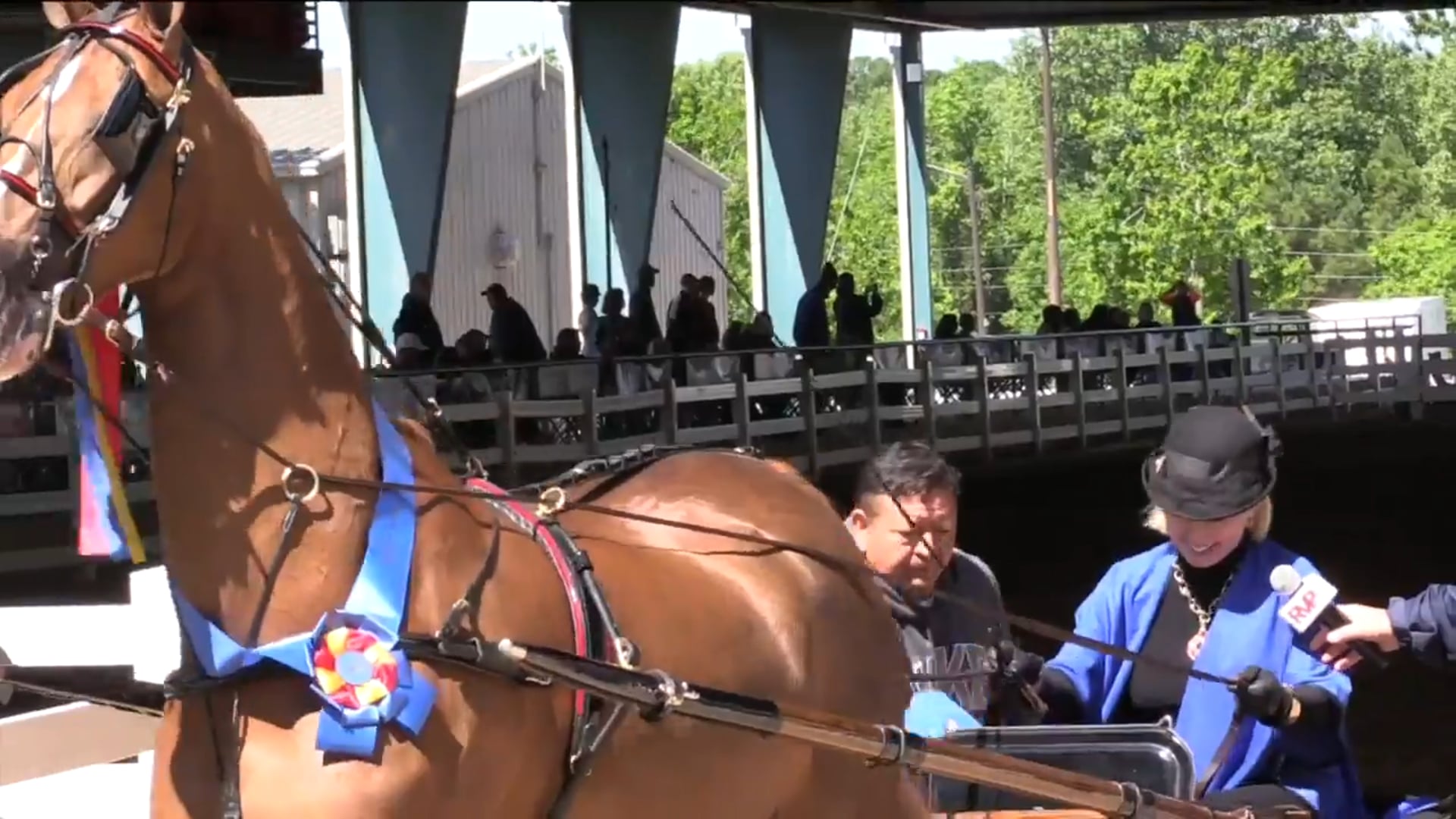 DC17 - Alde Mar's Luna C - Championship