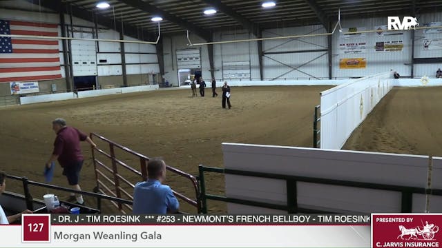 2018 Morgan Weanling Gala