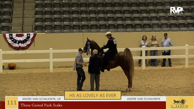 KYFC21 - Class 111 -  Three Gaited Pa...