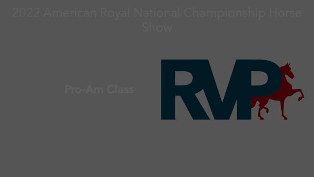 AR22 - Class 128.1 - Pro-Am Class