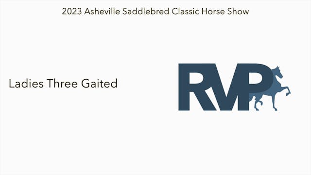 ASC23 - Class 28 - Ladies Three Gaited