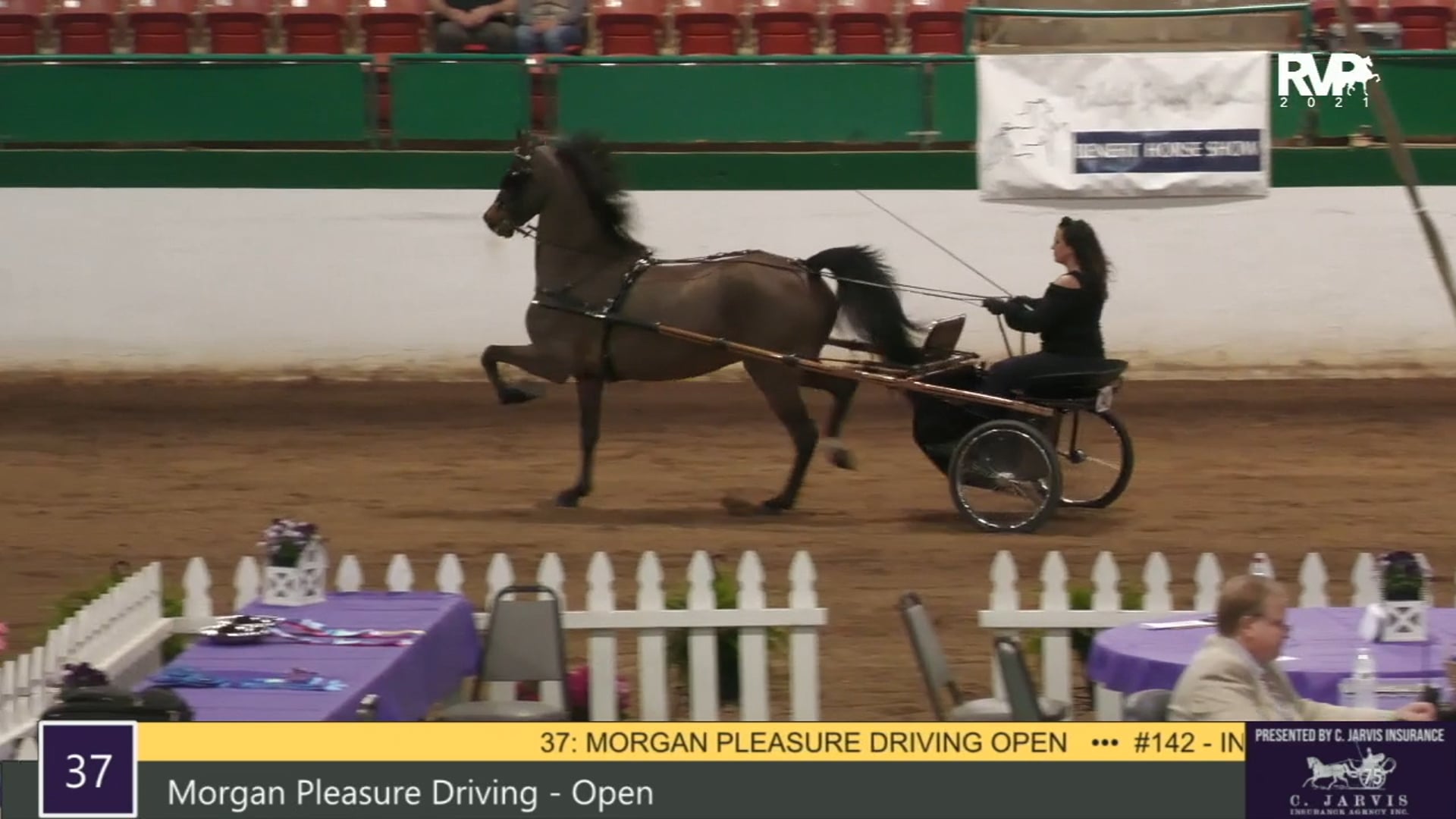 RSP21 - Class 37 -Morgan Pleasure Driving Open