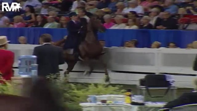 2004 World's Championship Horse Show ...