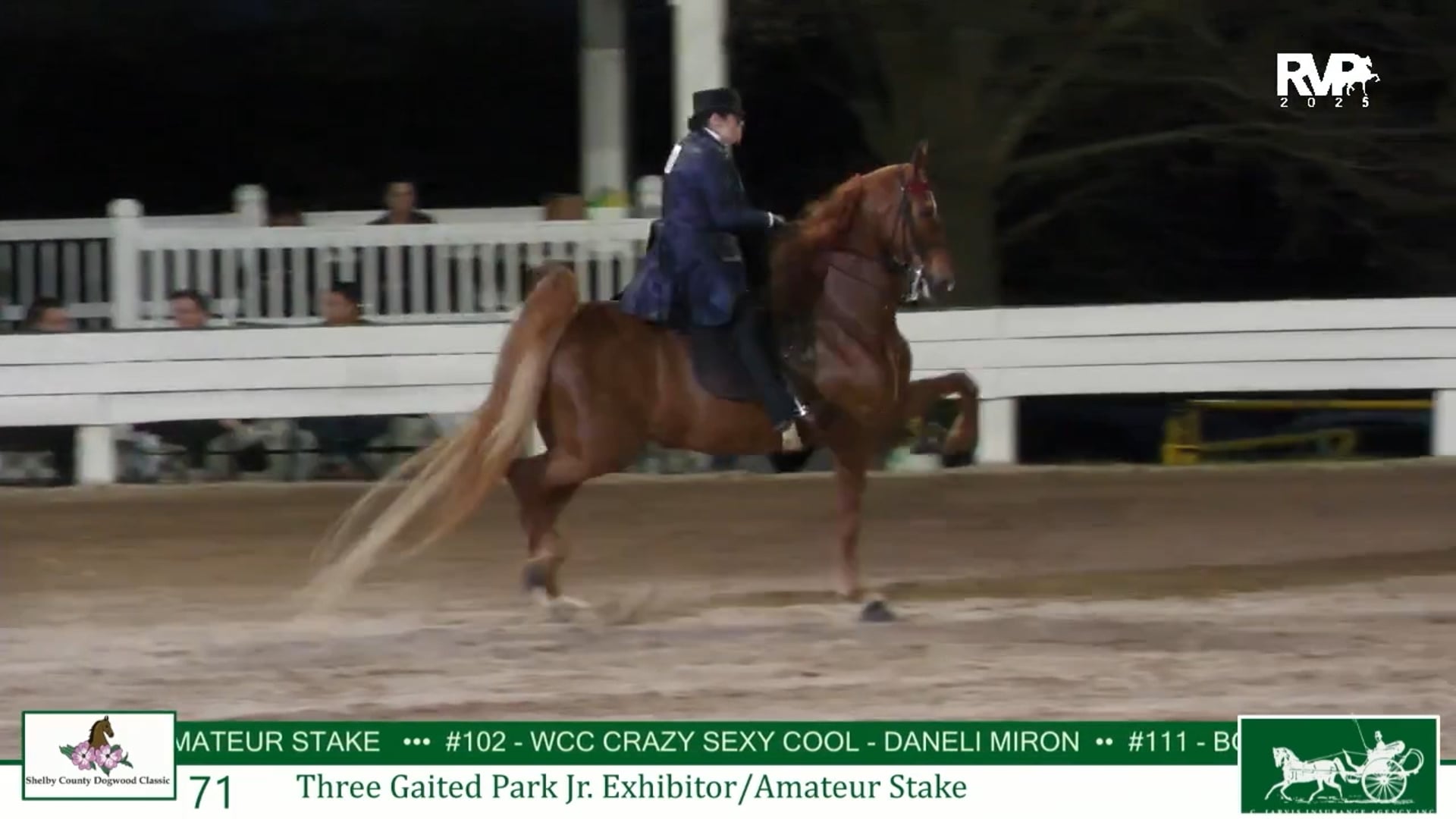 DC25 - Class 71 - Three Gaited Park Jr Exhibitor-Amateur Stake