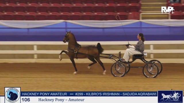 BRC25 - Class 106 - Hackney Pony Amateur