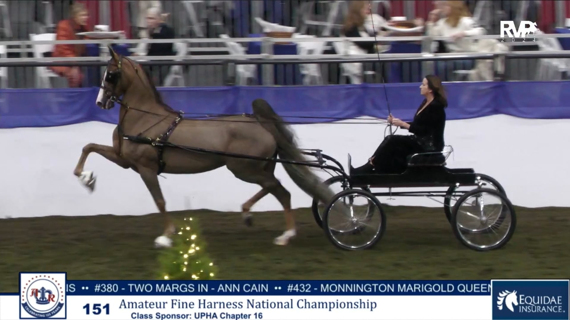 AR24 - Class 151 - Amateur Fine Harness National Championship