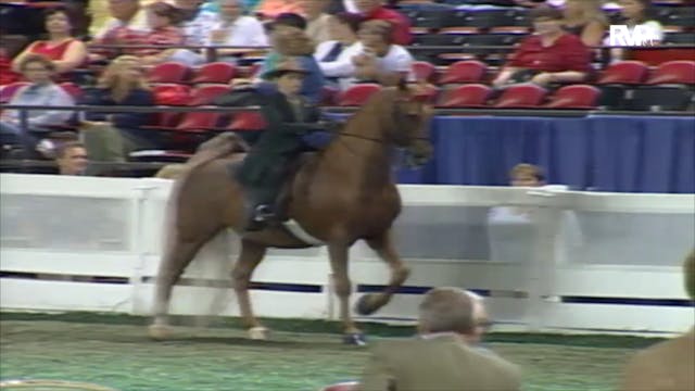 2000 WCHS Class 113 UPHA Walk Trot 9 ...