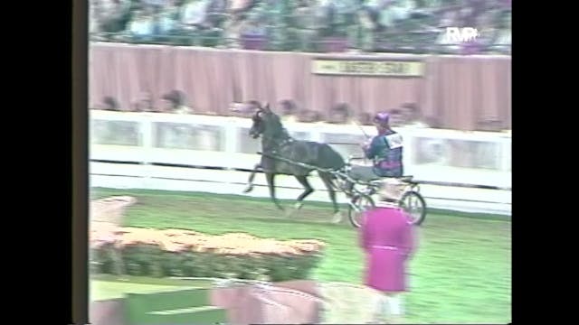WCHS85 - Roadster Pony Championship -...