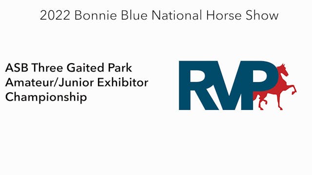 BB22 - Class 157 -  ASB Three Gaited ...