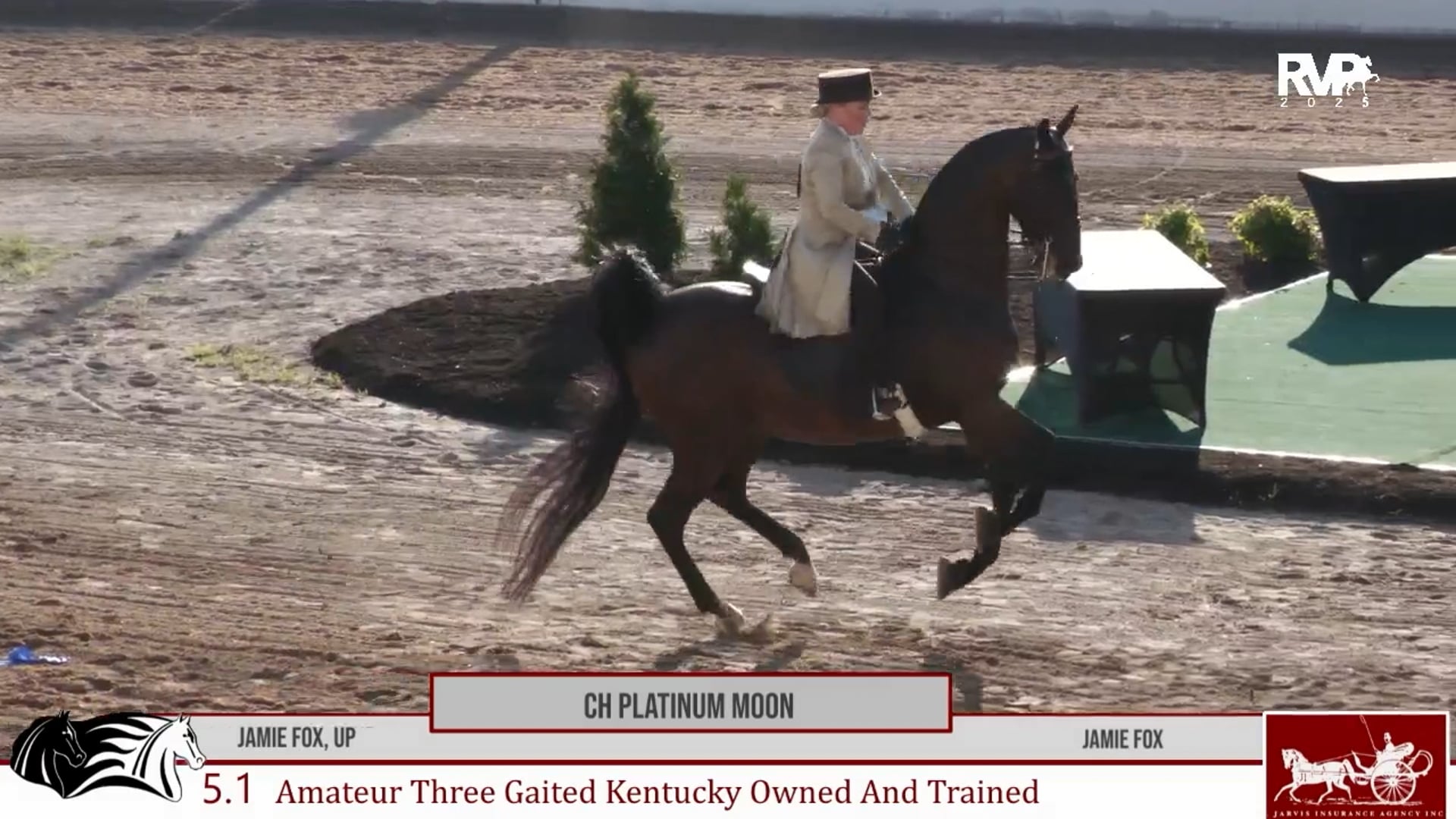 MCF25 - Class 5.1 - CH Platinum Moon and Jamie Fox, Up