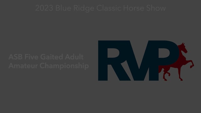 BR23 - Class 219 - ASB Five Gaited Adult Amateur Championship