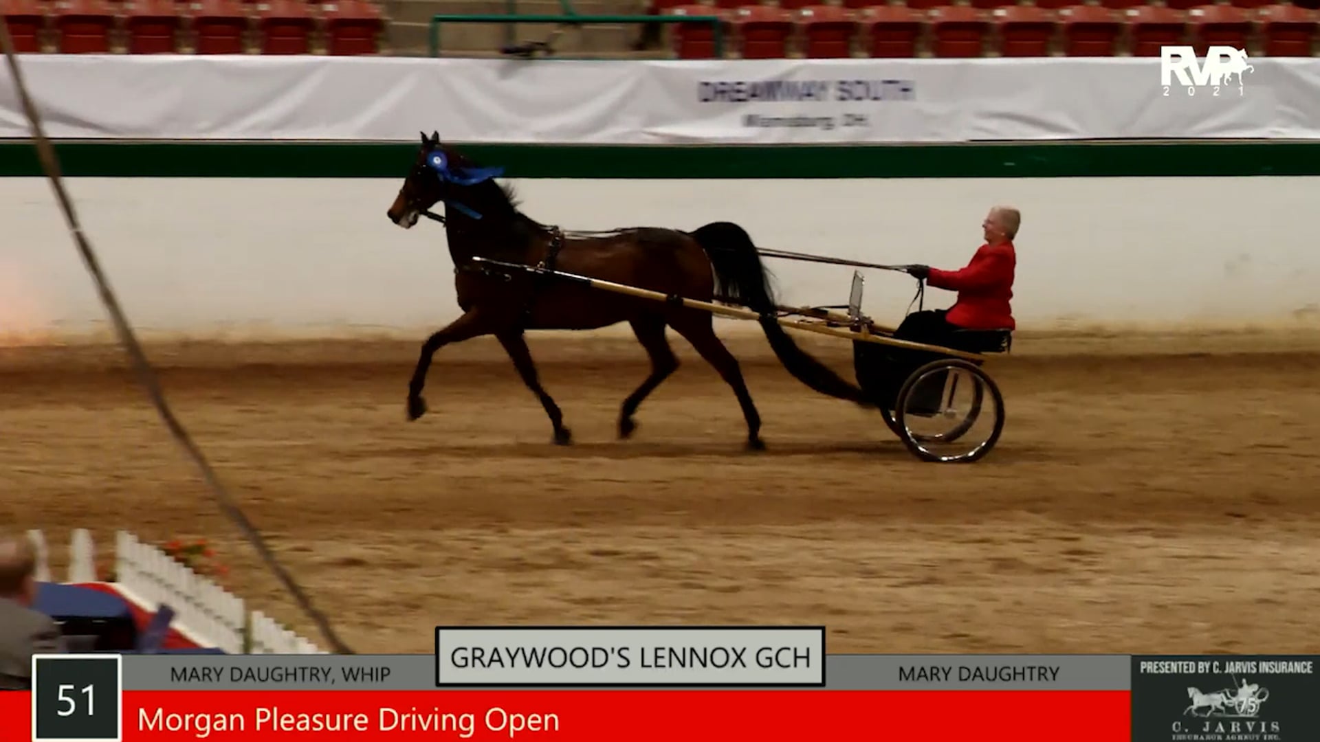 SS21 - Class 51 - Graywood's Lennox GCH and Mary Daughtry, whip