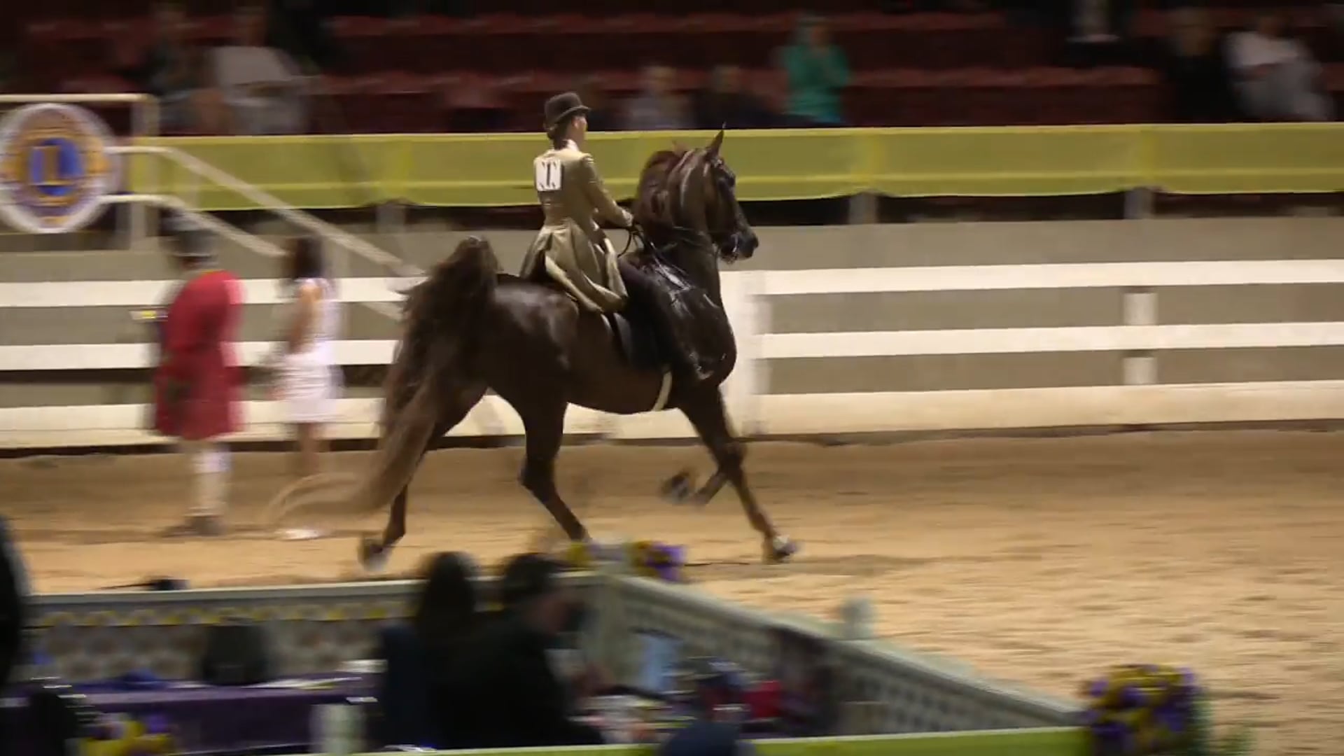 ALCB16 - Five Gaited Amateur Ladies Championship