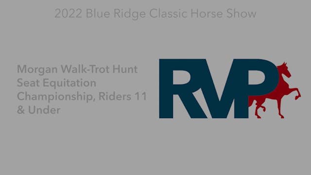 BR22 - Class 149 - Morgan Walk-Trot H...