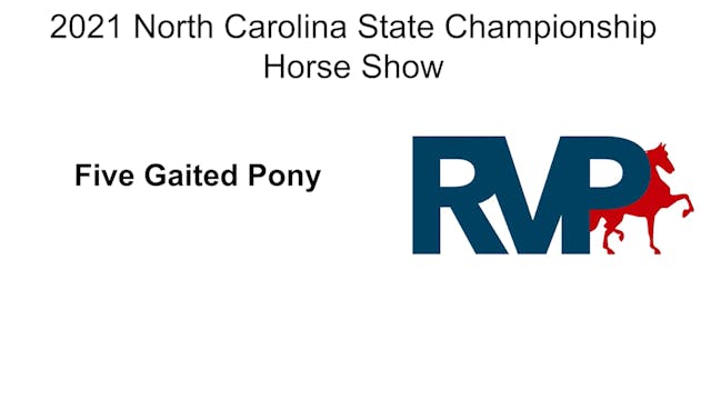 NCSC21 - Class 68 -Five Gaited Pony