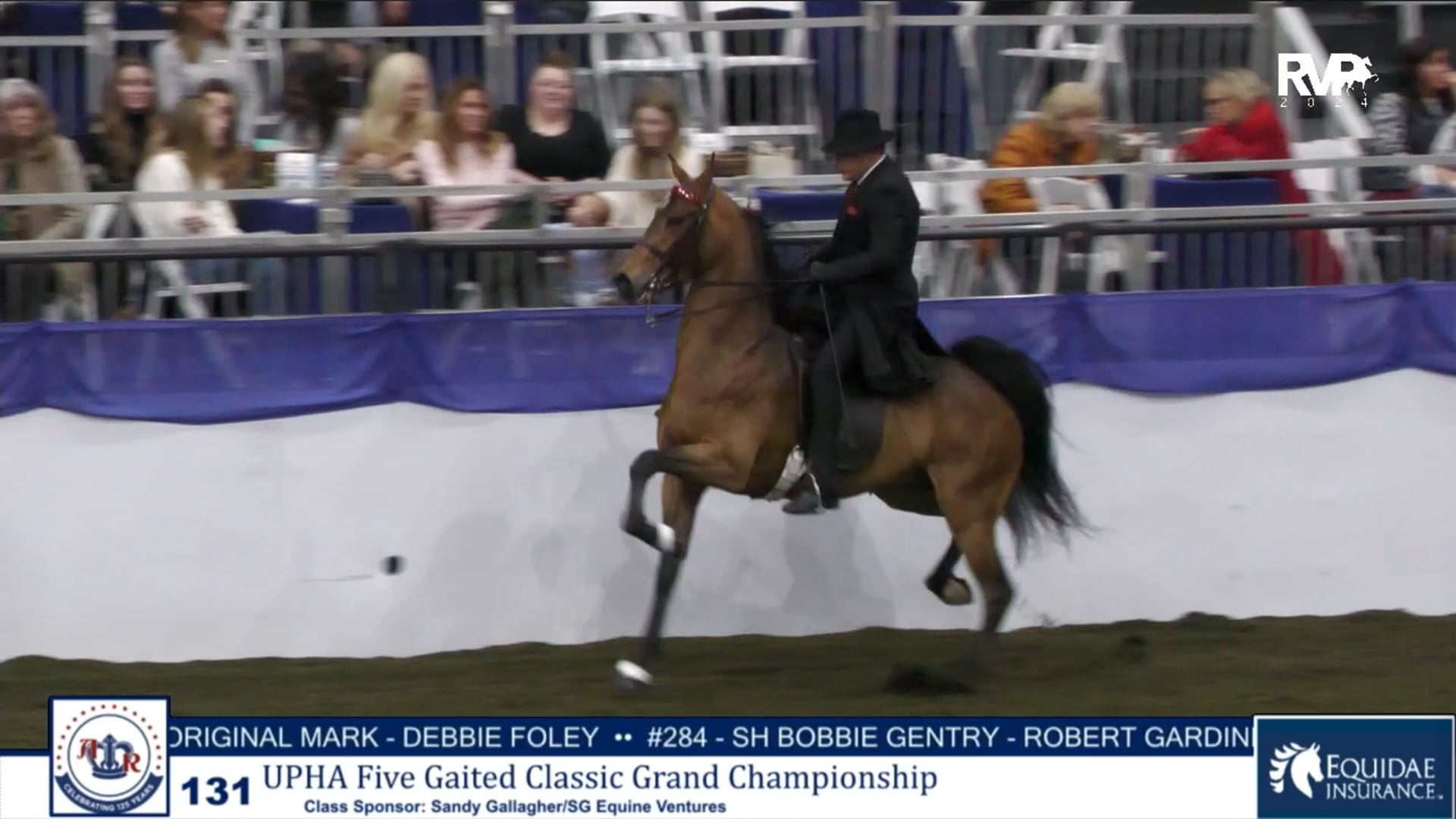 AR24 - Class 131 - UPHA Five Gaited Classic Grand Championship