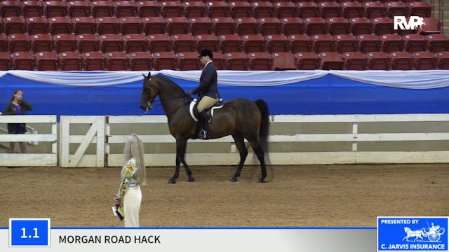 2019 Blue Ridge Classic Horse Show - ...