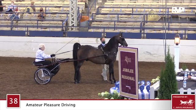 2020 JMHS - Class 38 Amateur Pleasure...
