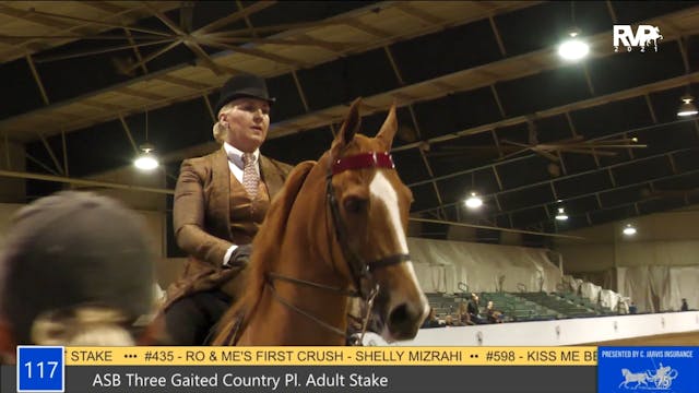 GASP21 - Class 117 - ASB Three Gaited...