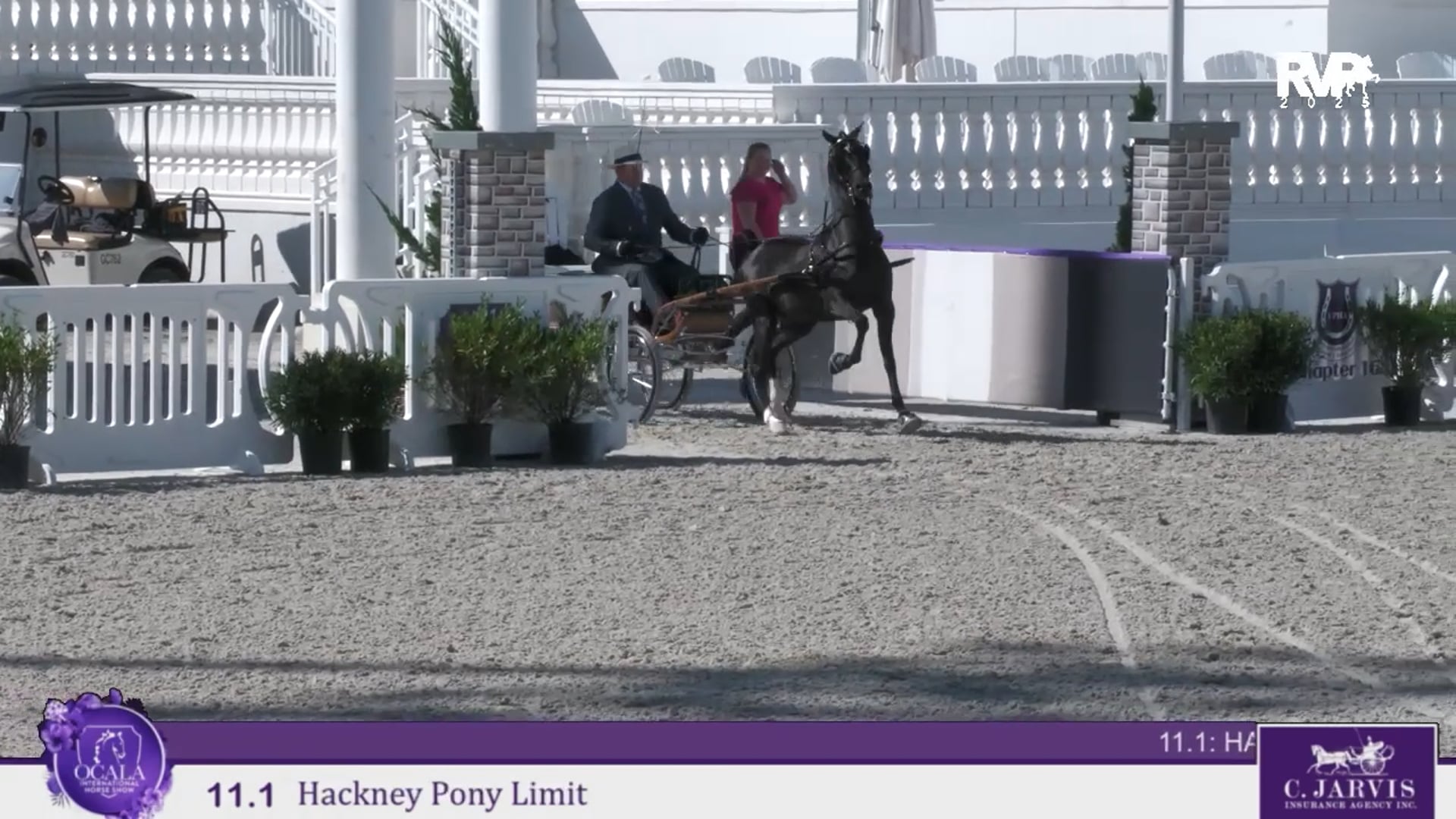 OI25 - Class 11.1 - Hackney Pony Limit
