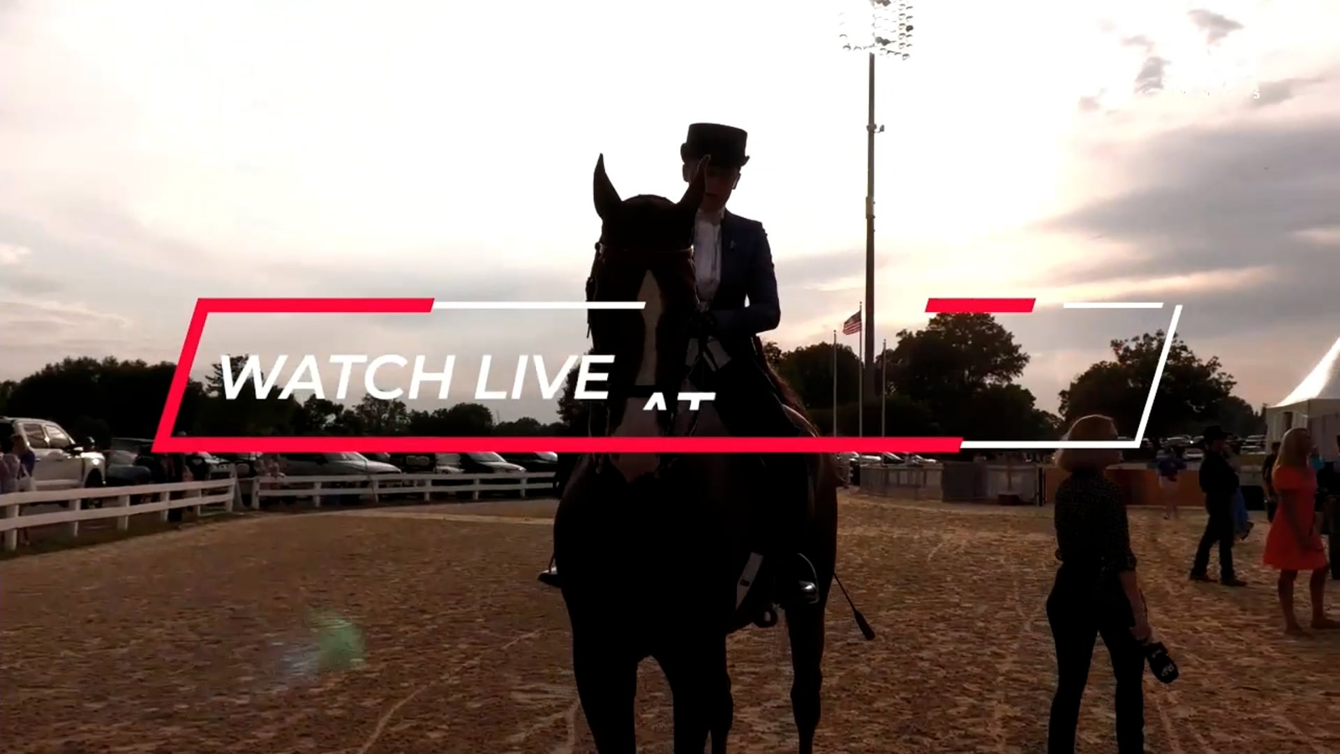 2025 Midwest Charity Horse Show - Wednesday Evening 