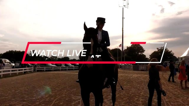 2025 Midwest Charity Horse Show - Wed...