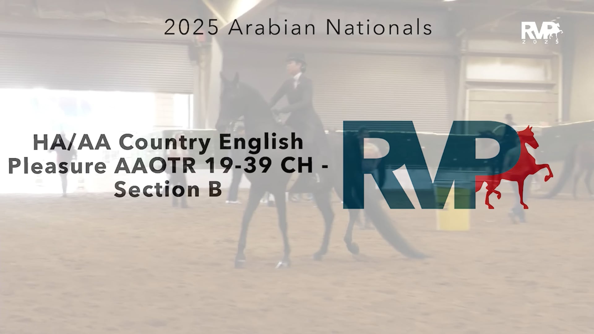 AN25 - Class 2148b - HA-AA Country English Pleasure AAOTR 19-39 CH - Section B