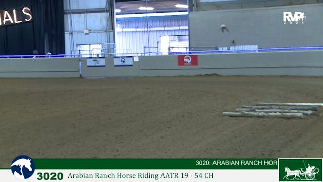 2024 Arabian Nationals - Mustang - Mo...