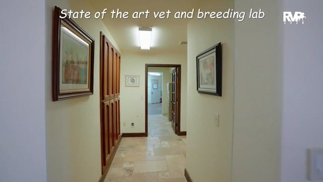 2025 Arabian Nationals - Monday Morni...