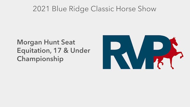 BR21 - Class 142 - Morgan Hunt Seat E...