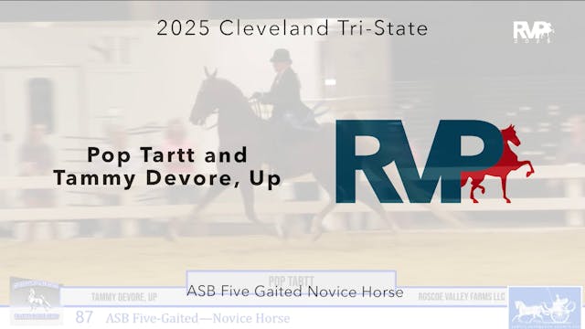 CTS25 - Class 87 - Pop Tartt and Tamm...
