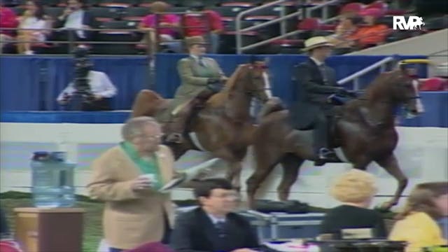 2000 WCHS Class 110 Five Gaited Show ...