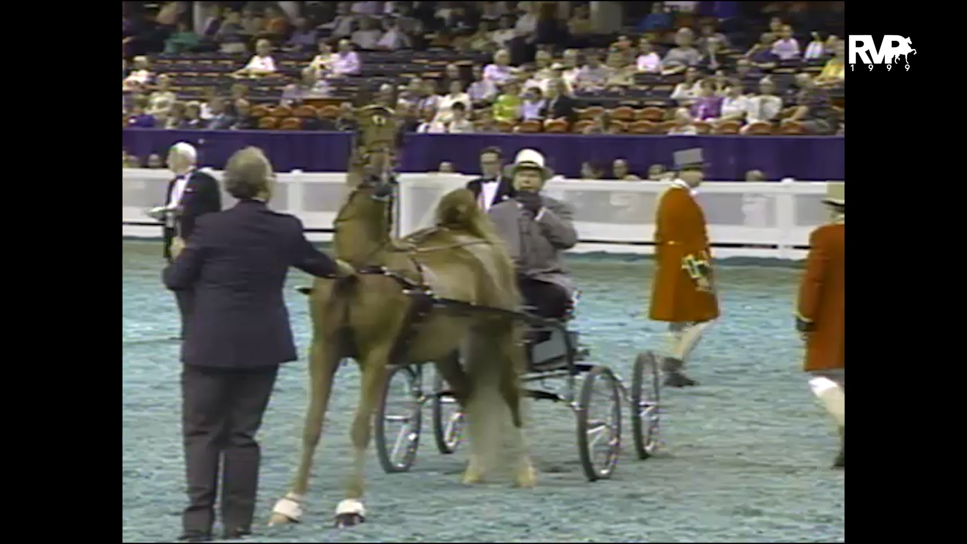 1999 WCHS - Class 55 Fine Harness Stallion-Gelding Stake