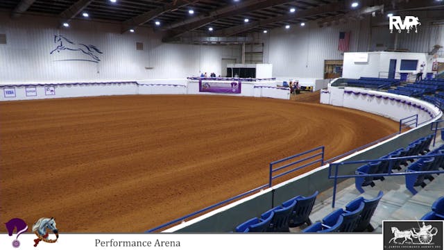 2024 Youth Arabian Nationals - Perfor...