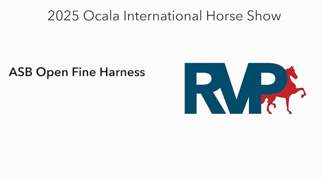 OI25 - Class 52 - ASB Open Fine Harness
